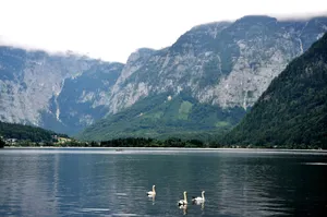 奥地利哈尔施塔特风景高清图片第张