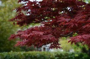 韩国济州岛风景高清图片第张