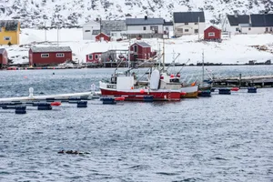 挪威雪景高清图片第张