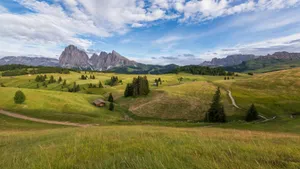 绿色辽阔的草原风景图片第张