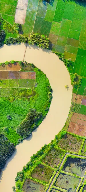 航拍稻田图片第张