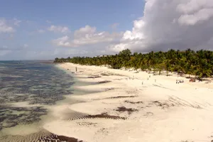 景色宜人休闲好去处的海滩沙滩风景图片第张