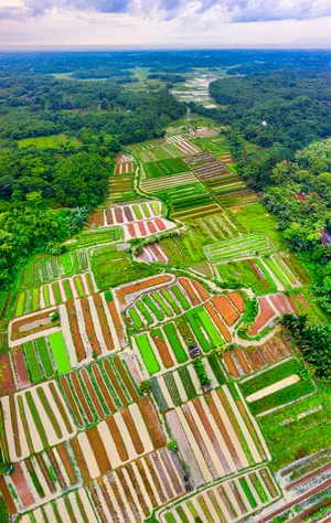 无人机航拍农田图片第张
