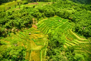 无人机航拍的农田图片第张