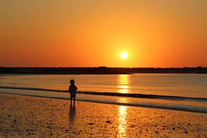 海边的日出图片第张