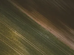 广阔的田野图片第张