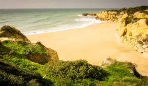 细软的海滩图片第张