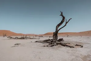 无边的沙漠图片第张