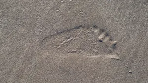 沙滩上的脚印高清图片第张