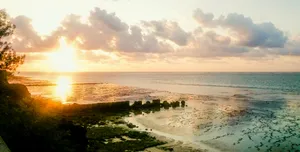 清晨的朝阳图片第张