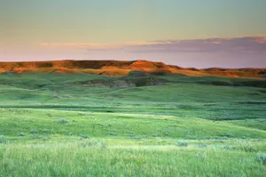 广袤的草原图片第张