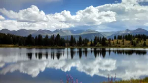 水中的倒影图片第张