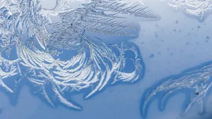 玻璃冰花图片第张