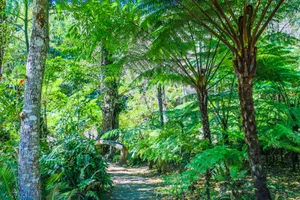 户外公园图片第张