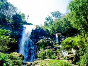 森林里的瀑布图片第张