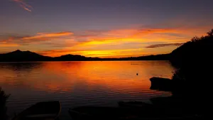 金黄的夕阳图片第张