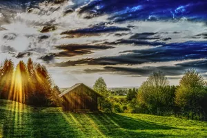 绿油油的自然风景图片第张