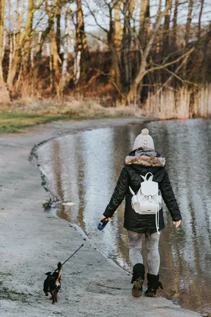 湖边的风景图片第张