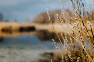 郊外的风景图片第张