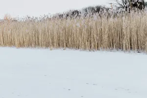 冻结的湖水图片第张