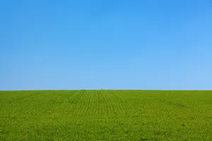 平坦的草地图片第张