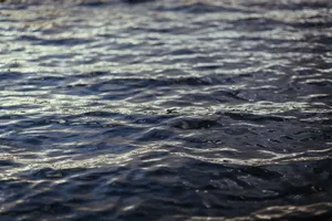 冬季的湖边图片第张