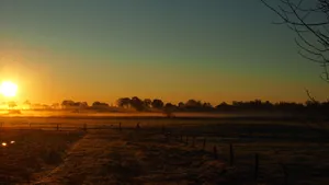 美妙的田园日出风景图片第张