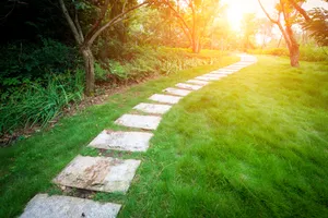 林中小路景色图片第张