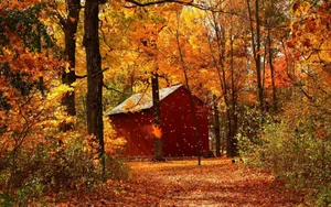 秋日美景风景图片第张