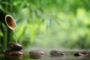 竹子石头景观图片第张