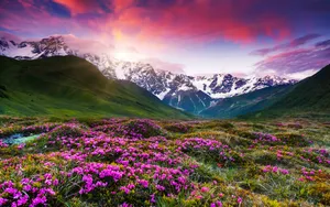 山脉山峰山顶风景图片第张