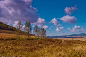秋日的风景图片第张