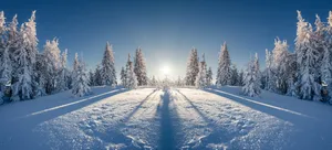 北方山林雪景图片第张
