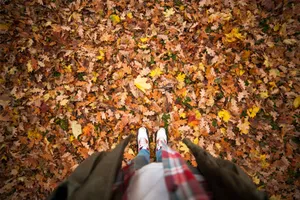 秋天景色图片第张