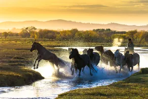 金秋坝上草原风光图片第张