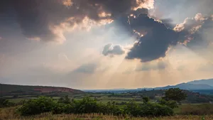 美丽的田园风光图片第张