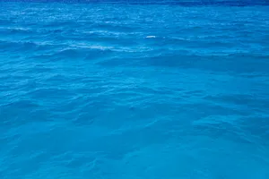 清澈的海水图片第张