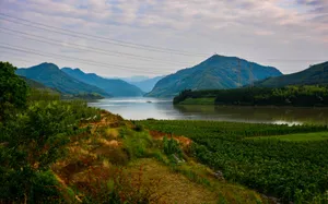 黄昏的田园图片第张