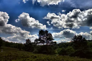 早晨的田野风景图片第张