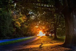 美丽的秋季风景图片第张