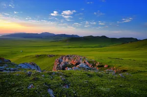 夏天的草原风景图片第张