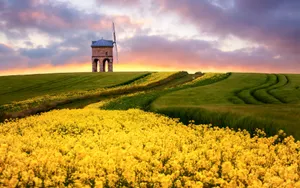 草原上的晚霞图片第张