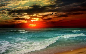 灿烂朝霞风景图片第张