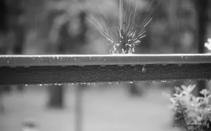 窗外的雨风景图片第张