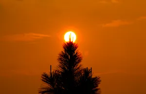 唯美晚霞图片第张