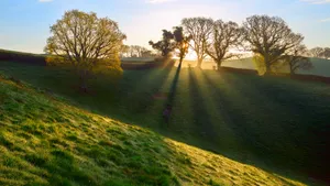 清晨第一缕阳光图片第张