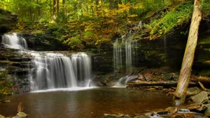 林间小瀑布风景图片第张