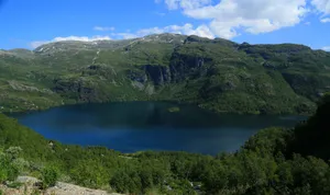 苔原风景图片第张