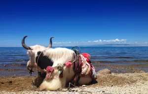 大美青海湖风景图片第张