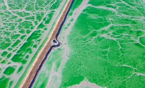 青海茫崖翡翠湖自然风景图片第张